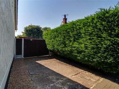Picture 19
